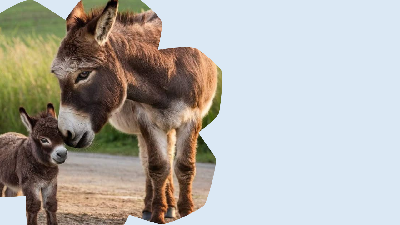 Blue-Aesthetic-Flower-QnA-Section-YouTube-Thumbnail-2