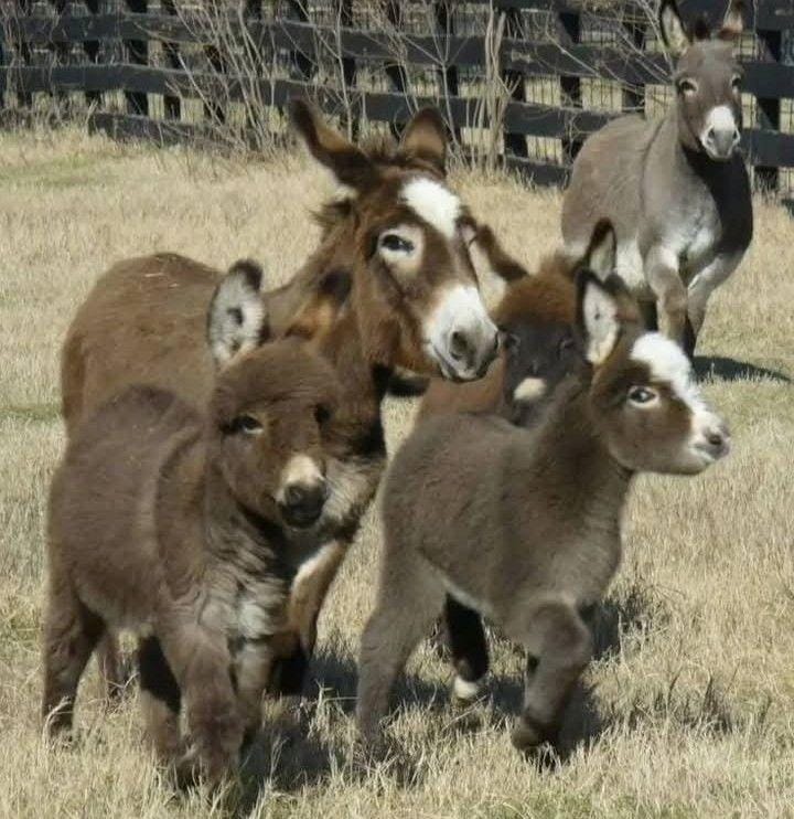 WhatsApp-Image-2025-12-05-at-13.05.36_b1d95aff